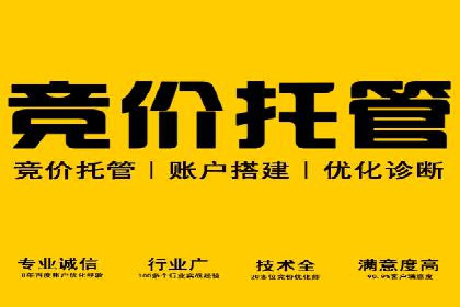 SEM竞价代运营公司成功案例分析